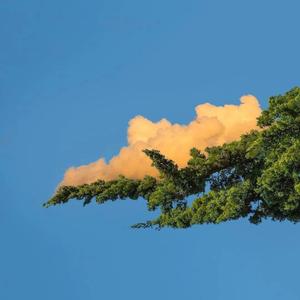 日本男生互相打飞机黄色网
